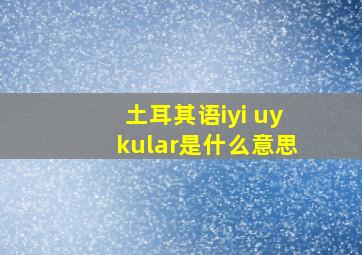 土耳其语iyi uykular是什么意思